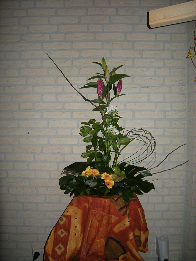 xdscn0868